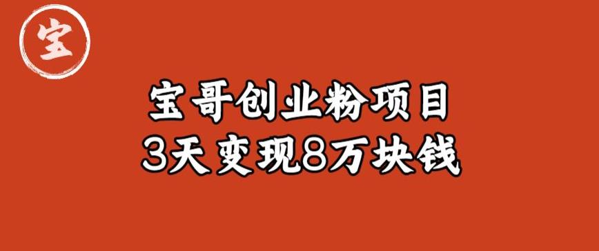 宝哥IP图文创业粉引流项目实战分享：单个账号3天涨粉1万，变现8万块钱（图文教程）【揭秘】-沐风资源库