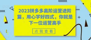 2023拼多多高阶运营进阶篇，用心学好四式，你就是下一位运营高手-沐风资源库