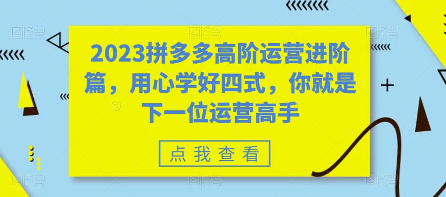2023拼多多高阶运营进阶篇，用心学好四式，你就是下一位运营高手-沐风资源库