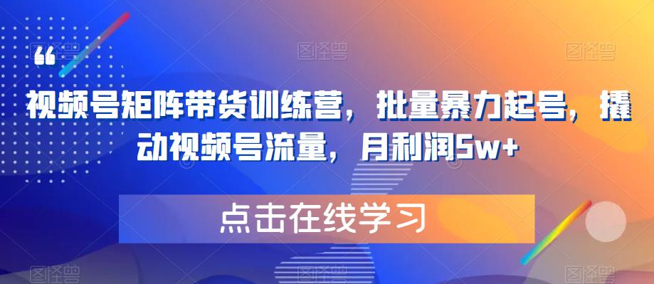 视频号矩阵带货训练营，批量暴力起号，撬动视频号流量，月利润5w+-沐风资源库
