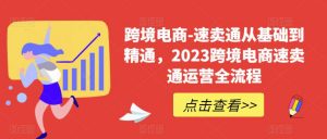 跨境电商-速卖通从基础到精通，2023跨境电商速卖通运营全流程-沐风资源库