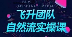 飞升团队课程自然流实操课，抖音半无人起号主播间搭建教学-沐风资源库