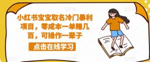 小红书宝宝取名冷门暴利项目，零成本一单赚几百，可操作一辈子-沐风资源库