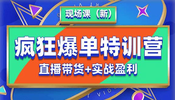 抖音短视频疯狂爆单特训营现场课（新）直播带货+实战案例-沐风资源库