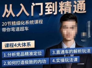 龙一·从入门到精通拼多多运营系列课，0-100的运营实操技巧，精细化系列课程带你弯道超车-沐风资源库