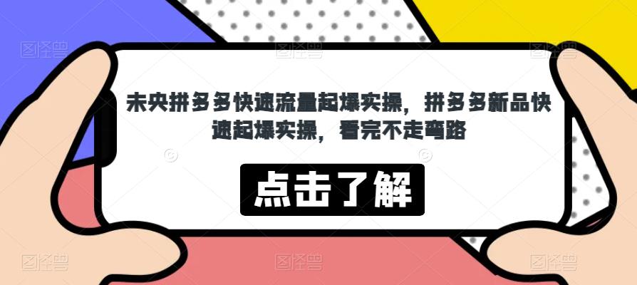 未央拼多多快速流量起爆实操，拼多多新品快速起爆实操，看完不走弯路-沐风资源库
