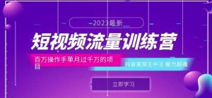 短视频流量训练营：百万操作手单月过千万的项目：抖音变现王中王能力超强-沐风资源库