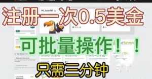 国外项目注册一次0.5美金，只需三分钟无脑操作，可批量同时放大操作，小白工作室福利【揭秘】-沐风资源库