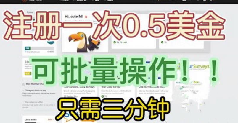 国外项目注册一次0.5美金，只需三分钟无脑操作，可批量同时放大操作，小白工作室福利【揭秘】-沐风资源库