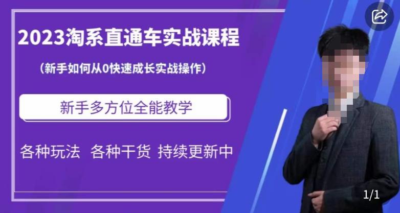2023淘系直通车保姆式运营讲解，新手如何从0快速成长实战操作，新手多方位全能教学-沐风资源库