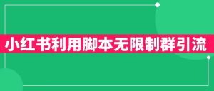小红书利用脚本无限群引流日引创业粉300+【揭秘】-沐风资源库