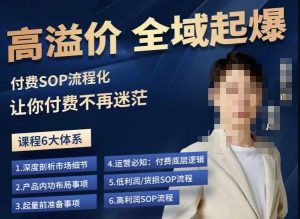 逸风-拼多多高溢价全域起爆，6大课程体系，付费玩法全套实操-沐风资源库