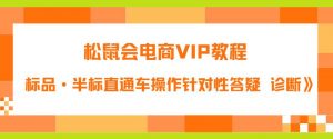 松鼠会电商VIP教程：松鼠《付费推广标品·半标直通车操作针对性答疑&诊断》-沐风资源库