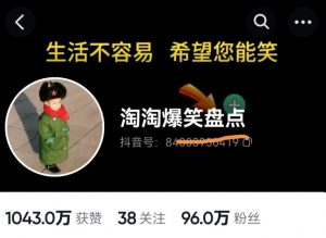 价值1000的搞笑盘点大V淘淘爆笑盘点详细课程+软件，中视频变现-沐风资源库