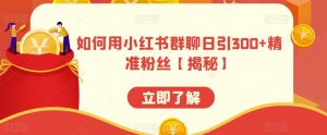 如何用小红书群聊日引300+精准粉丝【揭秘】-沐风资源库