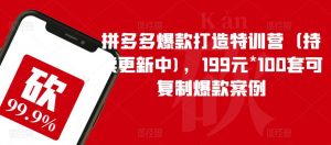 拼多多爆款打造特训营（持续更新中)，199元*100套可复制爆款案例-沐风资源库