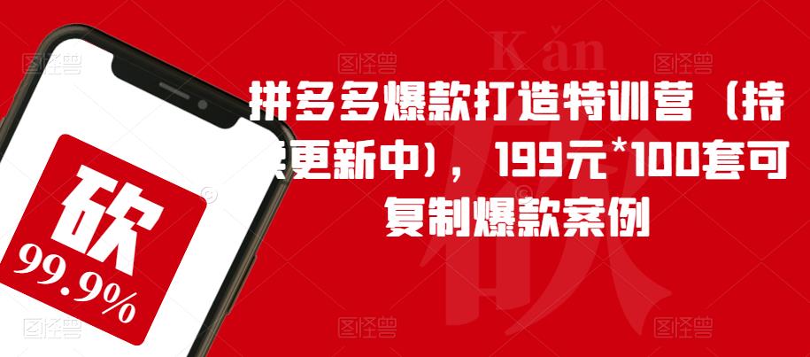 拼多多爆款打造特训营（持续更新中)，199元*100套可复制爆款案例-沐风资源库