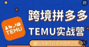 大鹏出海·拼多多跨境temu运营指导，开店注册+选品+核价上架，日出千单实战课-沐风资源库