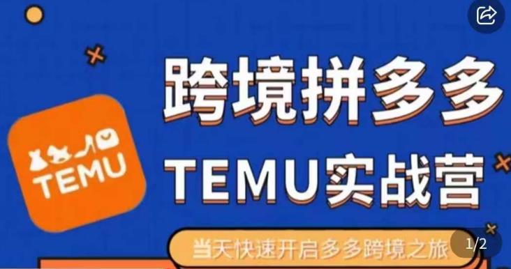 大鹏出海·拼多多跨境temu运营指导，开店注册+选品+核价上架，日出千单实战课-沐风资源库