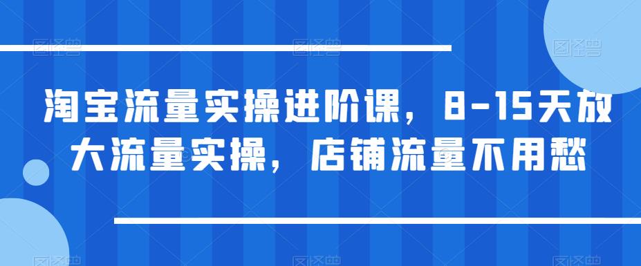 淘宝流量实操进阶课，8-15天放大流量实操，店铺流量不用愁-沐风资源库