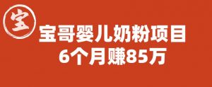 宝哥婴儿奶粉项目，6个月赚85w【图文非视频】【揭秘】-沐风资源库