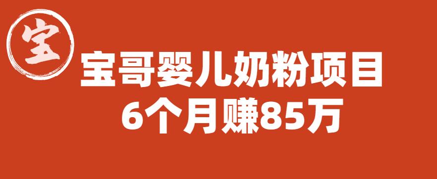 宝哥婴儿奶粉项目，6个月赚85w【图文非视频】【揭秘】-沐风资源库