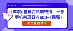 车载u盘暴力私域玩法，一部手机实现日入300+【揭秘】-沐风资源库