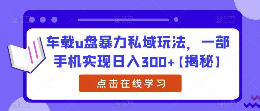 车载u盘暴力私域玩法，一部手机实现日入300+【揭秘】-沐风资源库