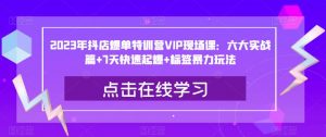 2023年抖店爆单特训营VIP现场课：六大实战篇+7天快速起爆+标签暴力玩法-沐风资源库