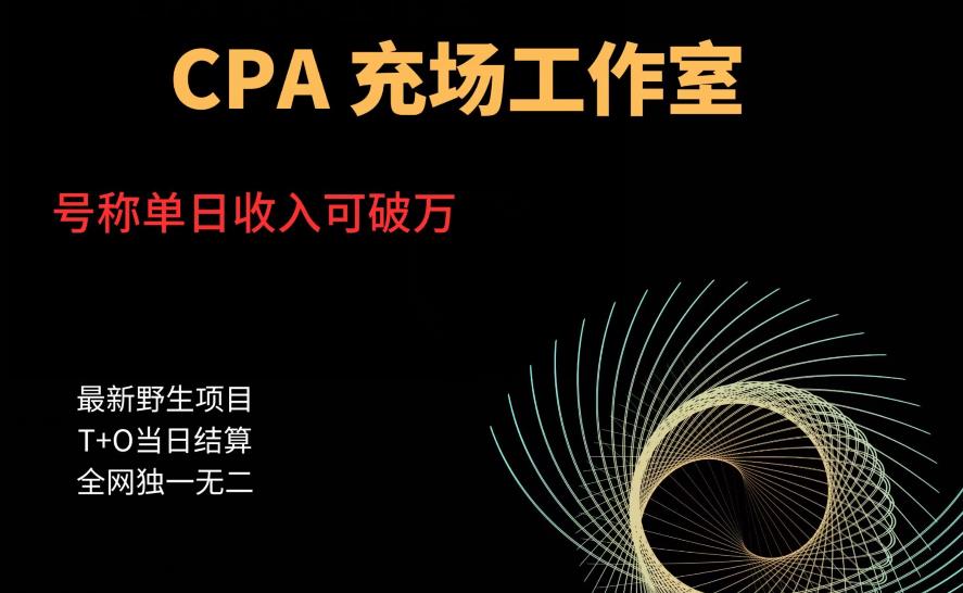 cpa充场工作室，号称单日收入10000+（揭秘）-沐风资源库