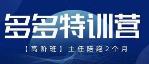 纪主任·5月最新多多特训营高阶班，玩法落地实操，多多全掌握-沐风资源库