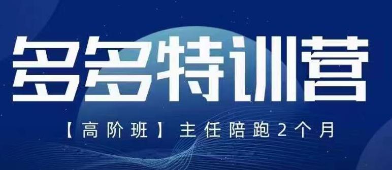 纪主任·5月最新多多特训营高阶班，玩法落地实操，多多全掌握-沐风资源库
