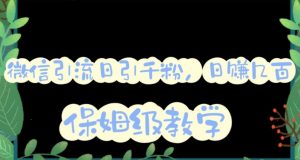 微信互推圈半自动引流方案，矩阵操作日引千人思路【详细视频教程】-沐风资源库