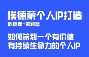 埃德蒙普通人都能起飞的个人IP策划课，如何策划一个优质个人IP-沐风资源库
