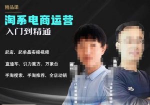 2023手淘搜索实操课+体系化课程，​起店起单品实操视频课程-沐风资源库