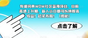 有道词典WOW社区蓝海项目，目前高速上升期，新人小白都可以换取高收益！赶紧布局！【揭秘】-沐风资源库