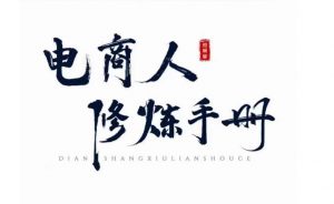 照顾酱·电商人修炼手册，从0到1，手把手教你理解淘宝运营底层逻辑-沐风资源库