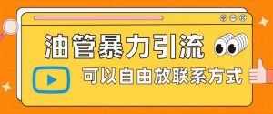 油管暴力引流，可以自由放联系方式【揭秘】-沐风资源库