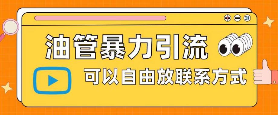 油管暴力引流，可以自由放联系方式【揭秘】-沐风资源库