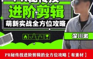 PR进阶剪辑培训班，让你快速成为剪辑大师12节视频课程+素材！-沐风资源库