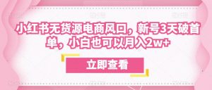 众狼电商余文小红书无货源电商风口，新号3天破首单，小白也可以月入2w+-沐风资源库