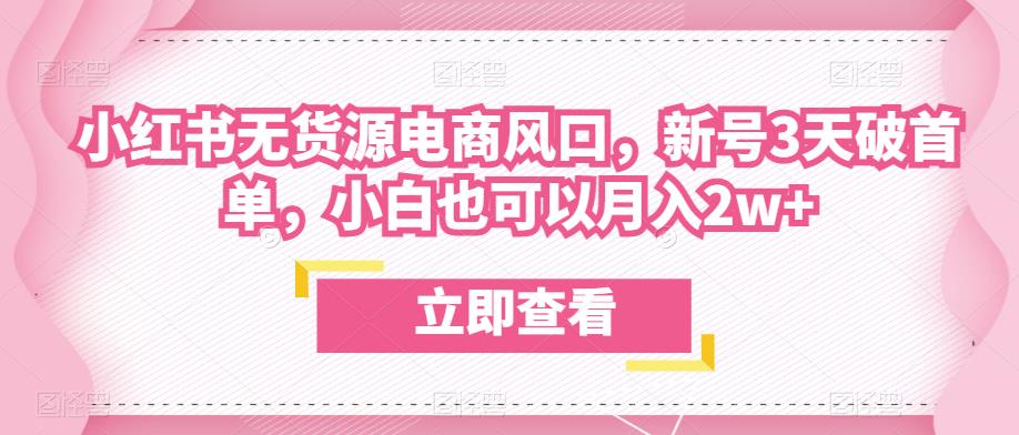 众狼电商余文小红书无货源电商风口，新号3天破首单，小白也可以月入2w+-沐风资源库