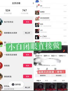 一天做完别一辈子的视频制作最近很火的《1000个野路子信息差》100%过原创【揭秘】-沐风资源库