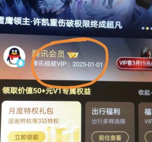 外面收费88撸腾讯会员2年，号称百分百成功，具体自测【操作教程】-沐风资源库