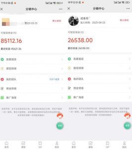 闲鱼流量掘金-虚拟变现新玩法配合全网项目库，精准引流变现3W+-沐风资源库