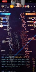 2023抖音最新最火爆弹幕互动游戏–星舰决战【开播教程+起号教程+对接报白等】-沐风资源库