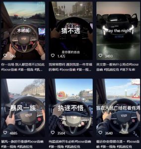 抖音开车视频项目，0基础操作，每天五分钟，月入1W+【揭秘】-沐风资源库