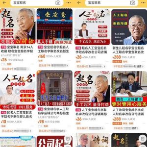 拆解小红书宝宝起名虚拟副业项目，一条龙实操玩法分享给你（教程+软件）-沐风资源库