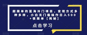 超简单的蓝海冷门项目，变现方式多种多样，小白无门槛操作日入500+很简单【揭秘】-沐风资源库