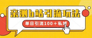 亲测b站引流玩法，单日引流100+私域，简单粗暴，超适合新手小白-沐风资源库